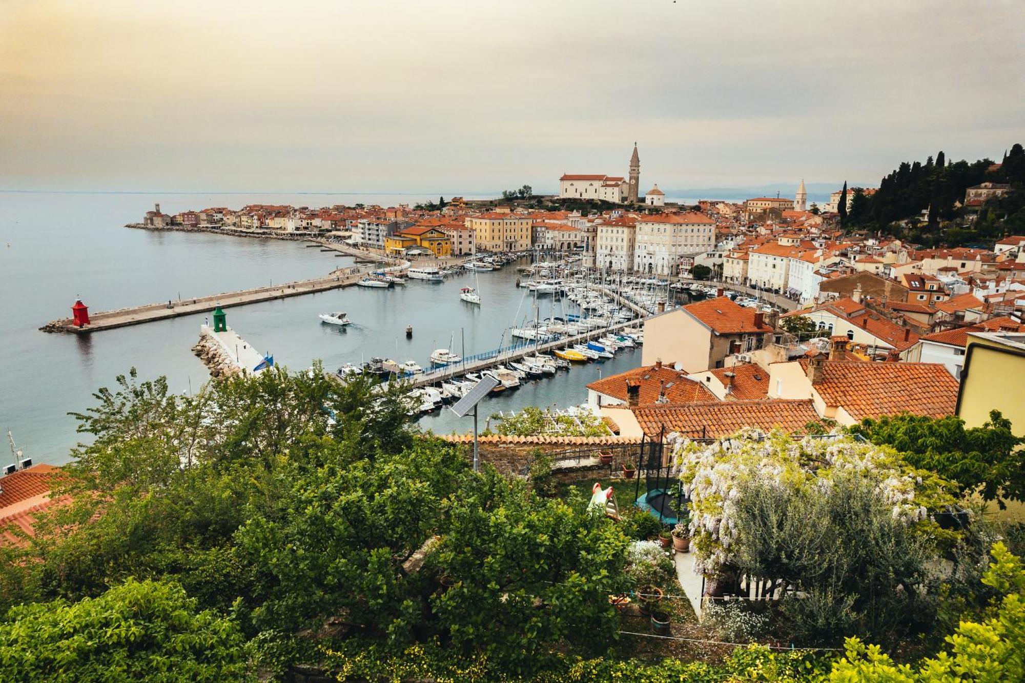 Apartment Bruna Piran Dış mekan fotoğraf